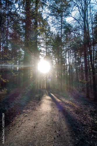 Fototapeta Naklejka Na Ścianę i Meble -  Sonnenstrahlen scheinen auf Waldweg