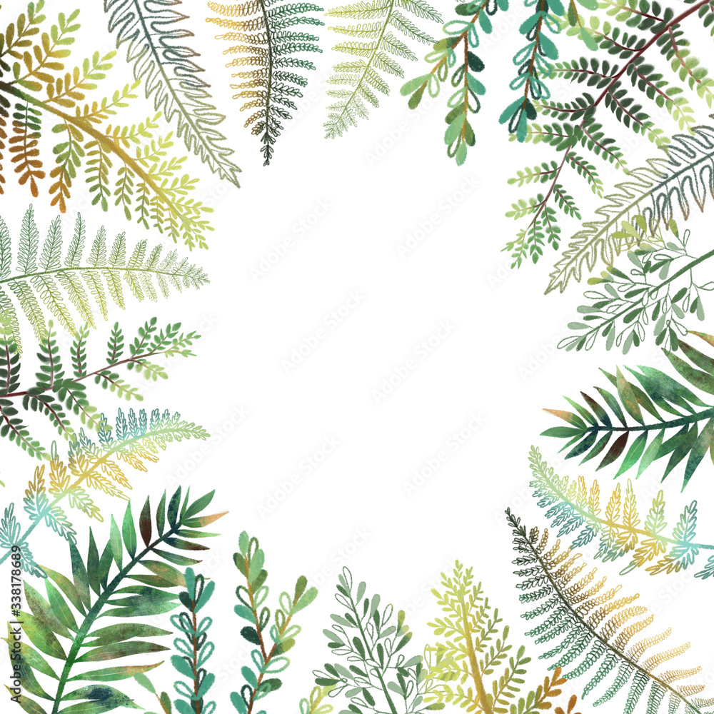 Tropical floral border, card template with hand drawn green fern leaves on white background