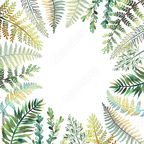 Tropical floral border, card template with hand drawn green fern leaves on white background
