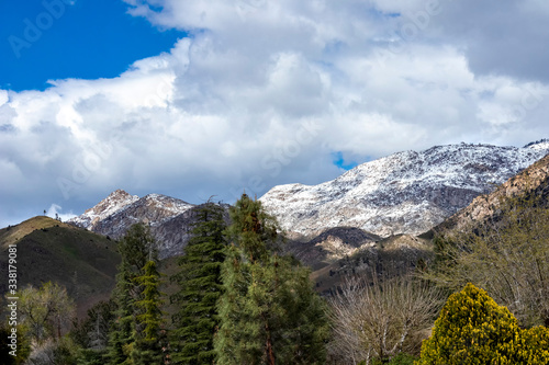 Spring Snow, Sierra Nevada