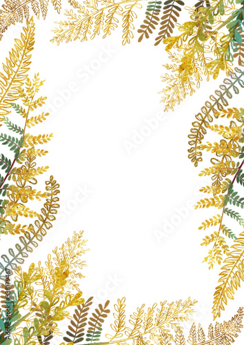 Golden floral border, card template with hand drawn golden fern leaves on whi...