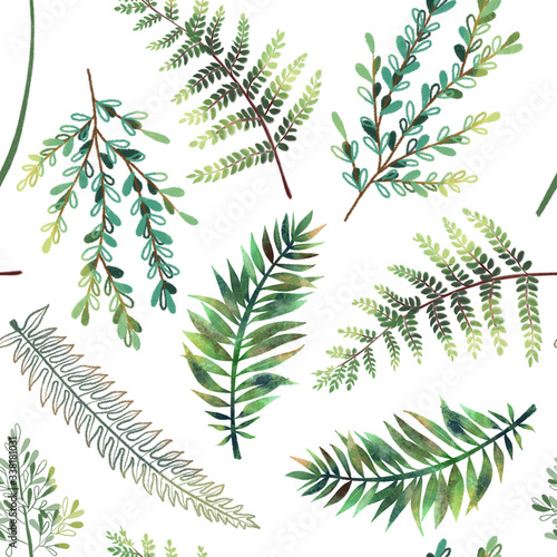 Seamless pattern with hand drawn green fern branches on white background, tro...