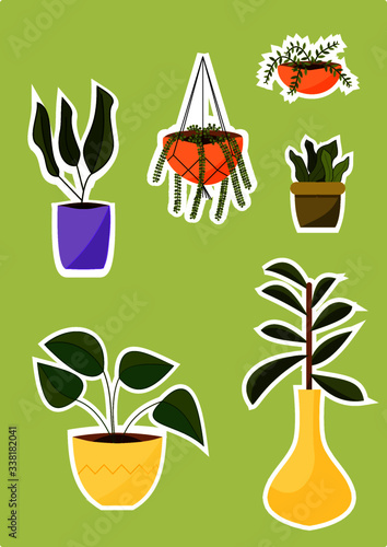 vector set of potted plants