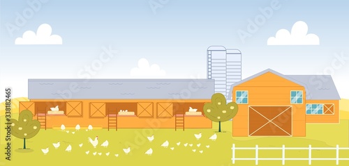 Organic Poultry Chicken Farm in Country Side.