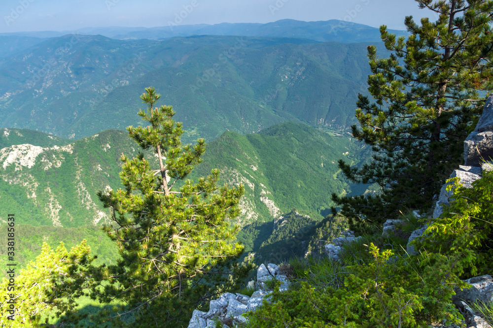 Obraz Panorama od szczytu Czerwonego Muru w Rodopach, Bułgaria