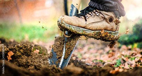 Man boot or shoe on spade prepare for digging. Farmer digs soil with shovel in garden