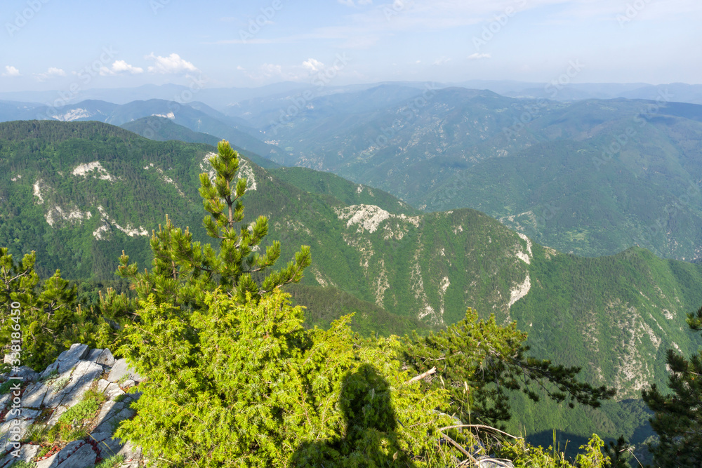 Fototapeta premium Panorama fron The Red Wall Peak at Rhodopes, Bulgaria