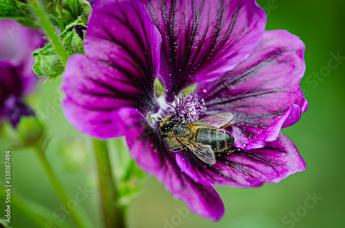 Reportage Nature photo