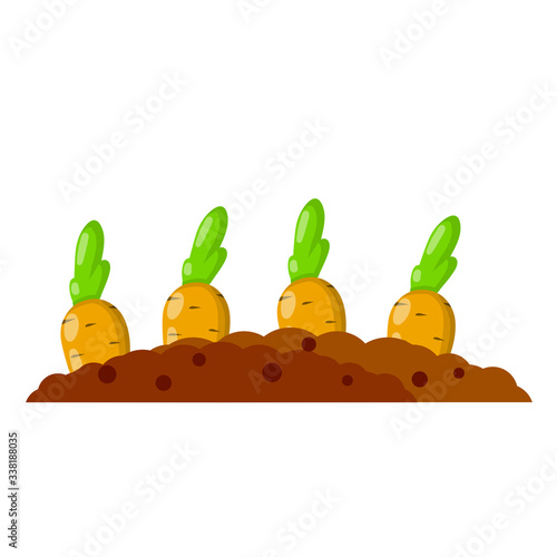 Bed with the carrot. Cartoon flat illustration. Growing vegetables on platform. Element of farm and village. Brown ground. Natural food