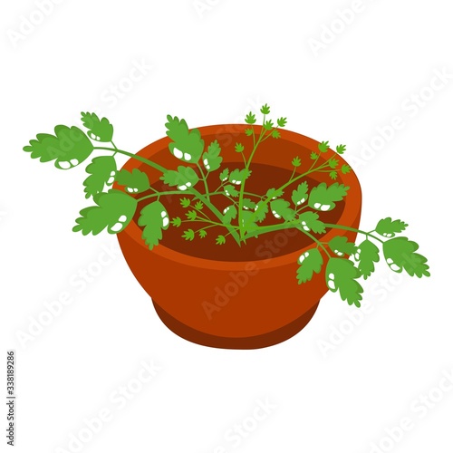 Bowl of parsley spices icon. Isometric of bowl of parsley spices vector icon for web design isolated on white background