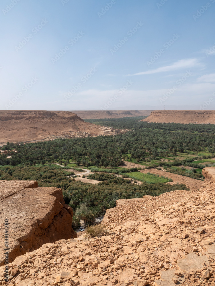 Palmeral en Marruecos, un oasis