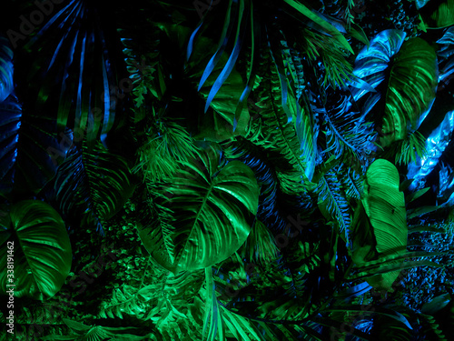 Tropical palm leaves pattern green colored. Background