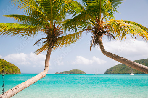 Fototapeta Naklejka Na Ścianę i Meble -  Palm trees curve together over a postcard perfect Caribbean beach scene in the Virgin Islands