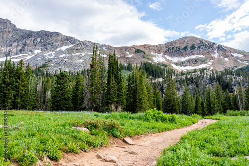 Albion Basin, Utah summer with landscape meadow view of dirt road trail in Wasatch mountains to Cecret Lake photo
