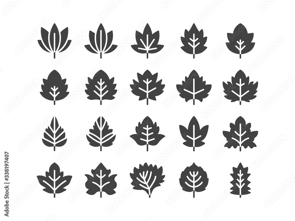 Maple and Other Leaf Solid Glyph Icon Set Autumn fall and Spring Concept Minimal Style Illustration Vector EPS 10.