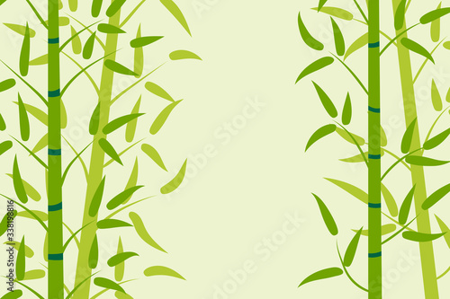 Cartoon bamboo forest card. Tropical floral background. Nature. Rainforest in Asia. Vector illustration. © _aine_
