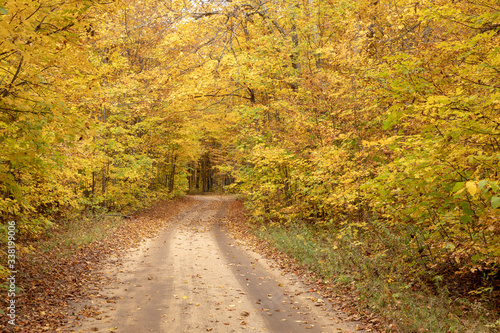 Dirt road in autumn © Jennifer
