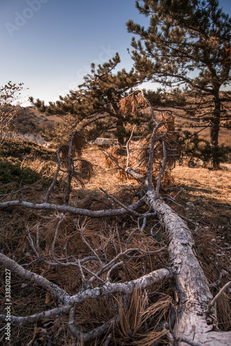 The autumn nature landscape in Crimea.