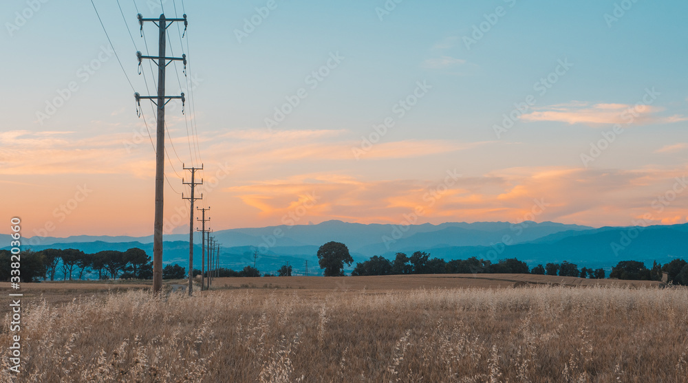 Wood electricity tower in a field