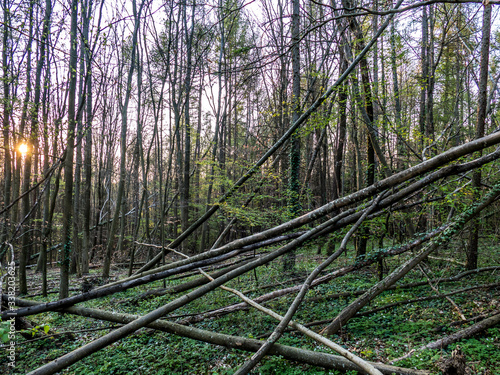 Schäden und Gefahr durch umgestürzte Bäume nach einem Sturm im Wald
