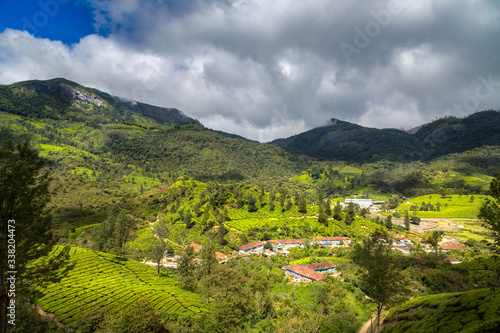 Munnar Valley, Kerala, India