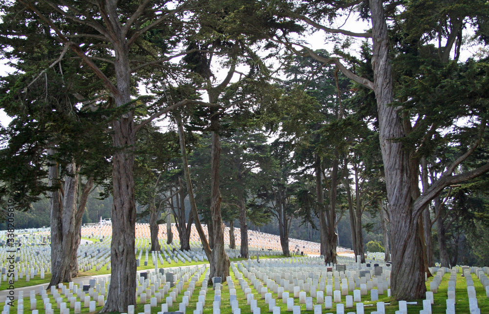 Cemetery in San Francisco (CA 01313)