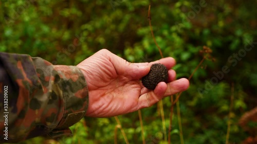 Caccia al tartufo 1