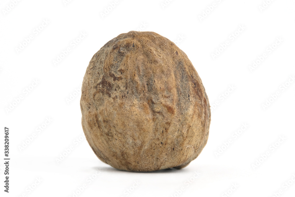Closeup single nutmeg isolated on a white background Closeup single nutmeg isolated on a white background
