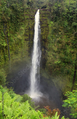 Beautiful Hawaii Big Island nature background. Scenic landscape with waterfall inside rainforest. Akaka Falls State Park, Hawaii Big Island, USA. Vertical composition.