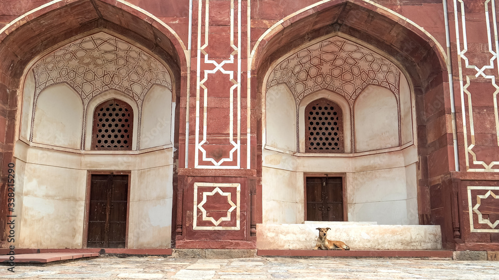 dog laying on the steps of humayuns tomb in delhi, india