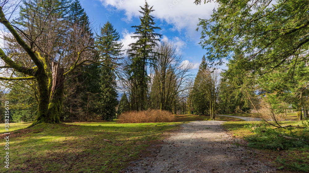 footpath in Burnaby Mountain Park
footpath in Burnaby Mountain Park