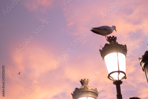 Photography Dublin, Ireland