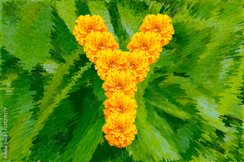 Spring Flower Letter Y concept using Marigold. Marigold flower alphabet on white background.