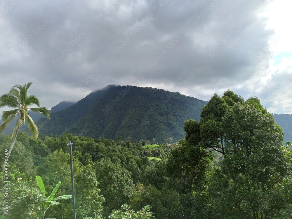 Fototapeta premium Green hill