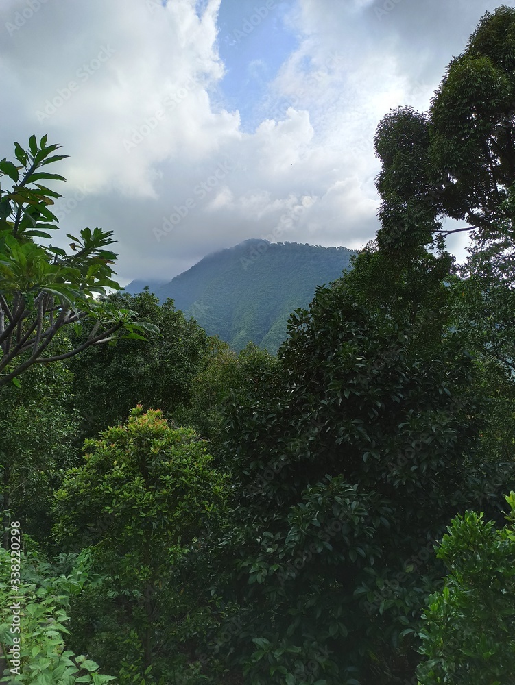 Obraz premium Green hill