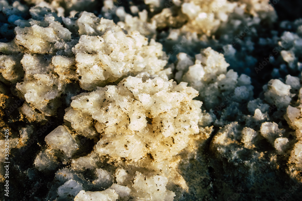 Fototapeta premium Crystal salt from the Dead Sea in Israel