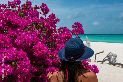 A girl next to a plant of bougainvillea looking at the sea in Madrisky island (Los Roques Archipelago, Venezuela). photo