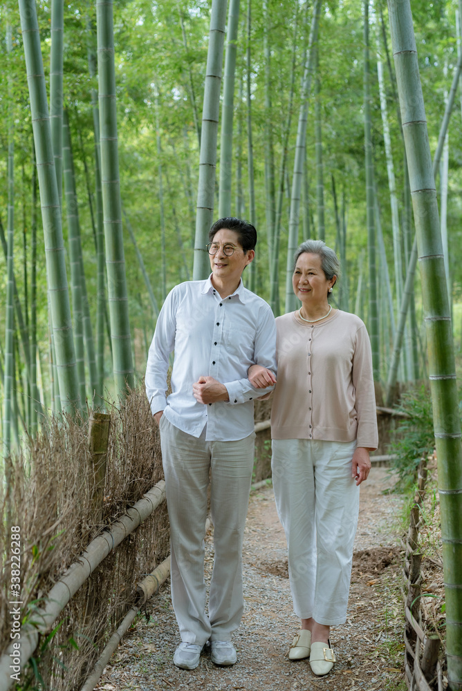 An elderly Asian couple walking in a bamboo forest