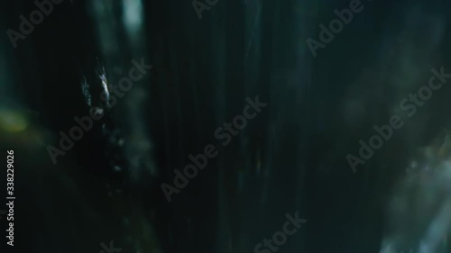 Wallpaper Mural CU shot, slow motioin, macro view: numerous fresh clear rain water drops fall down on dark background extreme closeup Torontodigital.ca