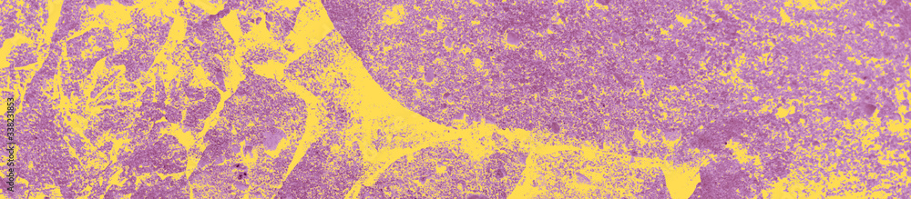 Fototapeta premium abstract yellow and purple colors background