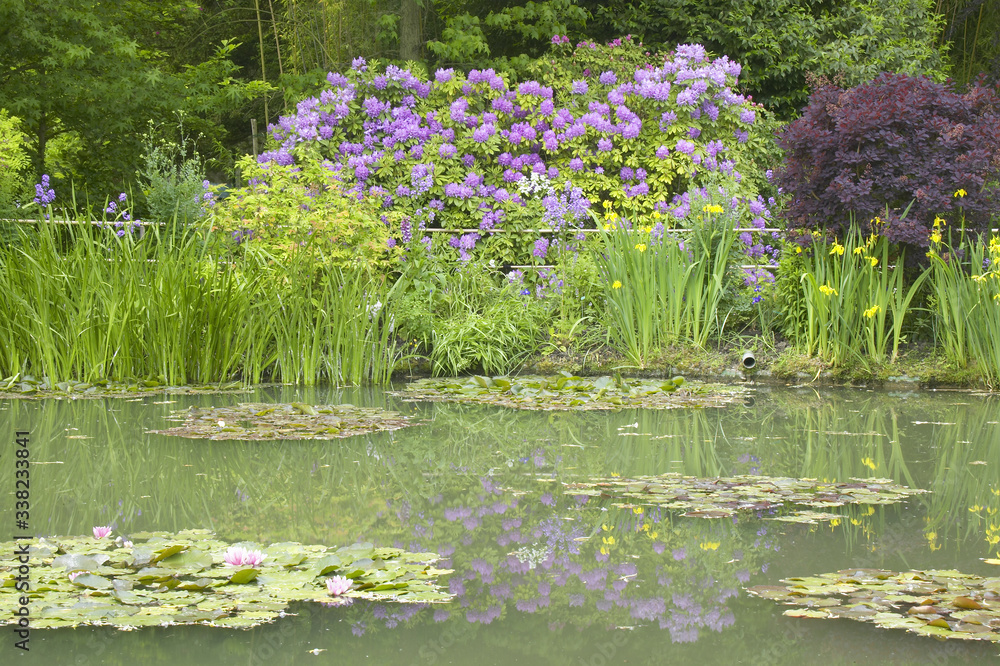 Φωτογραφία The Gardens at Giverny with reflections of flowers in pond, Giverny, France