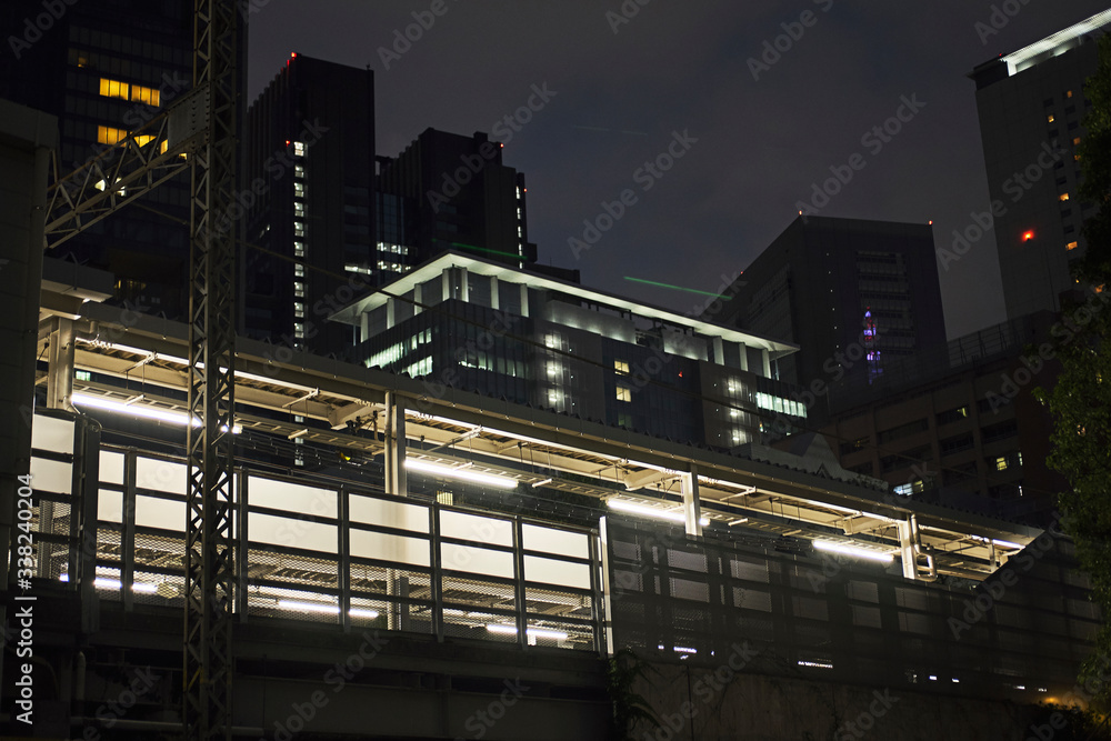 Fototapeta premium Tokyo Night Cityscape with Elevated Structure and Lights