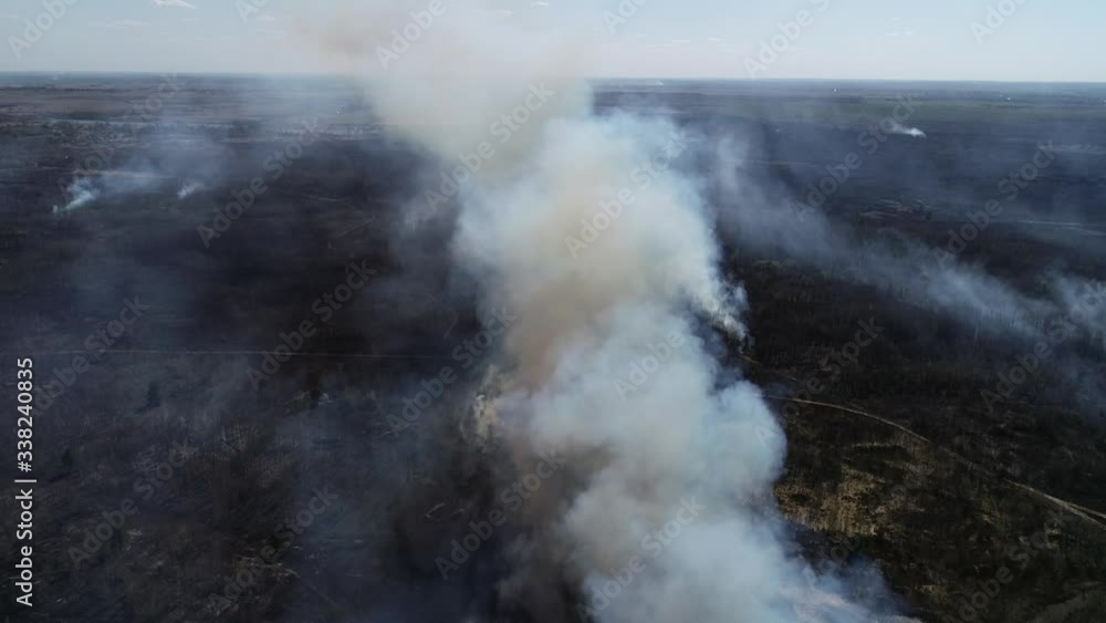 Large-scale forest fires in Ukraine in the spring Large-scale forest fires in Ukraine in the spring