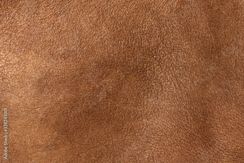 Brown leather of wild animal, texture . Leather background, brown color. Close up. Brown leather texture
