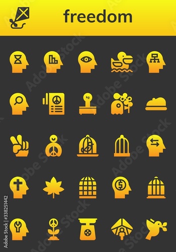 freedom icon set