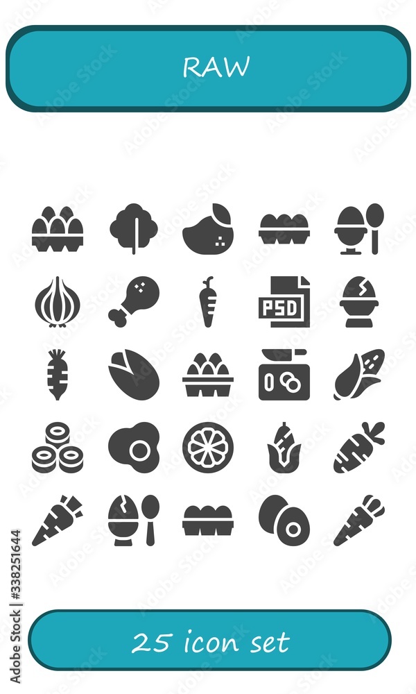 Modern Simple Set of raw Vector filled Icons