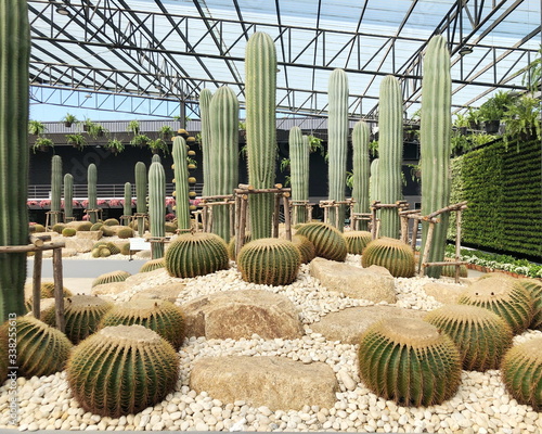 PATTAYA,THAILAND - January 28,2020 : The sky Garden at Nong Nooch tropical garden in Thailand.