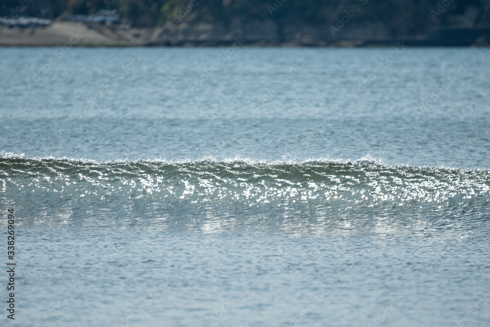 Obraz premium 湘南の海