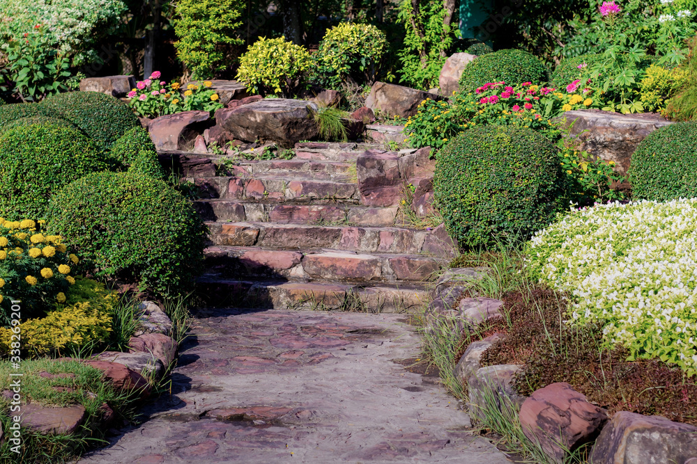 Pathway in the garden.