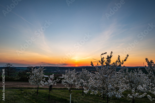 sunset over the field